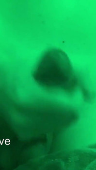 Cute Teen Late Night Jerk off Massive Cumshot