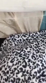 義母が掃除中にベッドの下に閉じ込められたとき、アナルはタイトなケツの穴を犯しました
