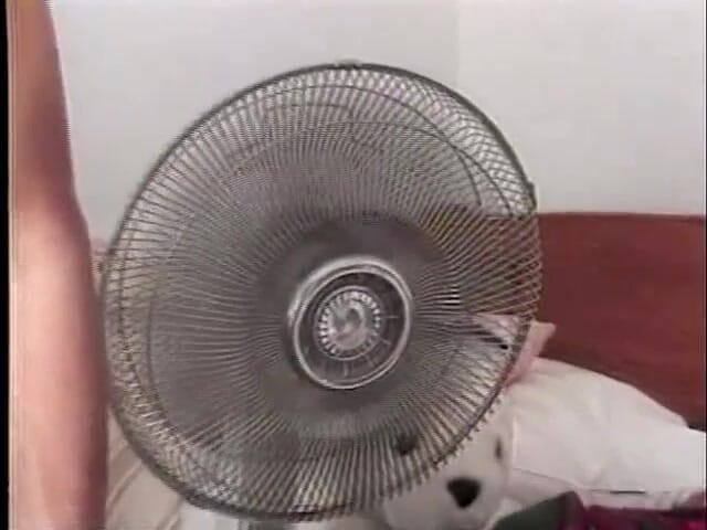 Classic Porn DVDs: Dvds lucah klasik: Timmy jahat mengongkek l.a.: bahagian 2