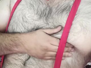 BibearXXX: BiBEARXXX 12