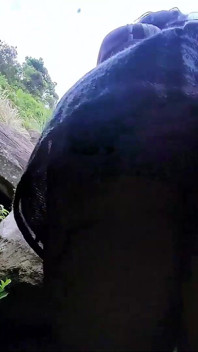 Fille Perdue Recevant Du Lait De La Bouche D’un Inconnu.