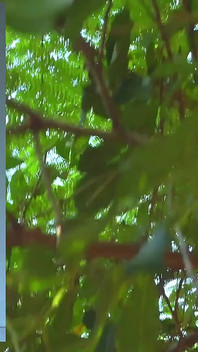 White Socks serie Inspiration N. 1