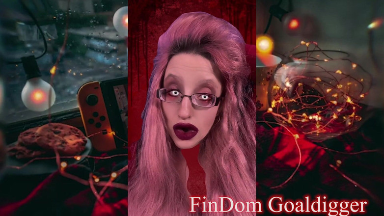 FinDom Goaldigger: 转化为现金