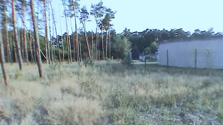 Petty by Sextermedia: Teen makes blowjob in forest