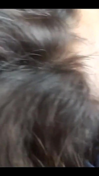 Cam - latina riposata sul suo letto, le passo il cazzo attraverso la bocca, lei si sveglia molto eccitata e inizia a succhiarmi