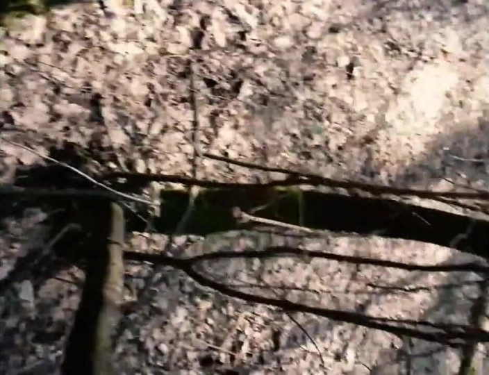 qaz11: Honění před kamerou - 590