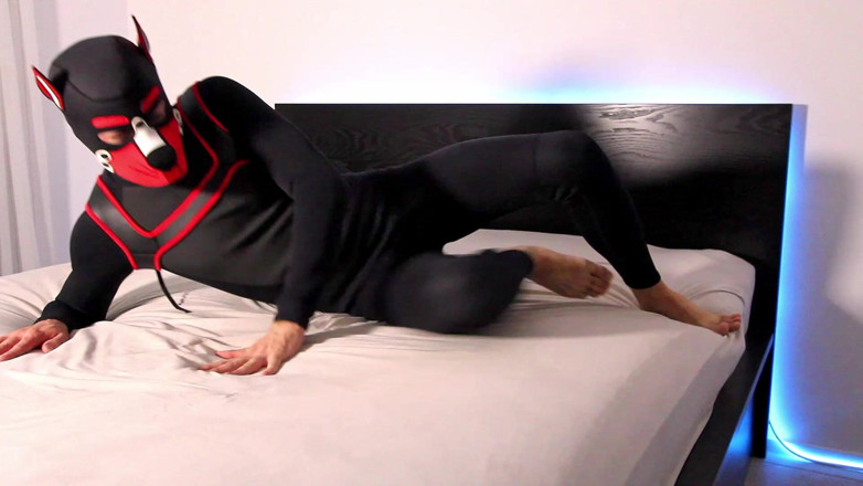 Feti1308: Збуджене цуценя неопрену треться і дражнить себе