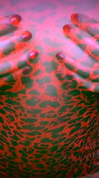 젖은 란제리