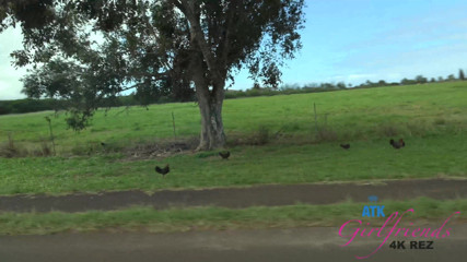 ATK Fans (Girlfriends): Virtueller urlaub in Kauai mit Jill Kassidy teil 1