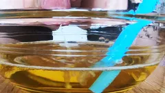A Bowl of Dirty Pee and Cum, Yummy