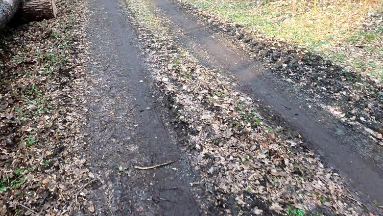 Bouncy Tits Action: Pussy Slapping Mit Dem Lineal Im Wald