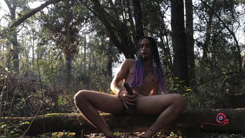 Arthur Eden aka Webcam God: A lonely log (4K)