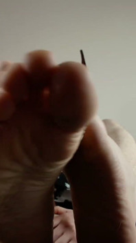 Playful Pup Tease Tickles Crotch Close
