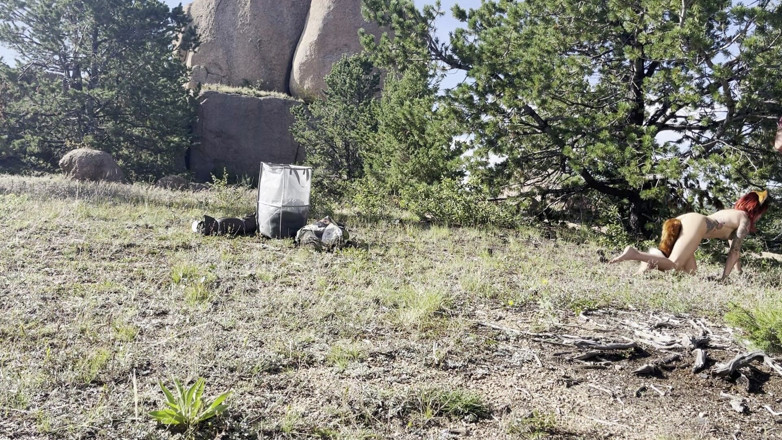 MYA Pleasure: Liška v lese