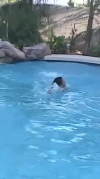 Hot Young Shemale Gets a Naked Swim in the Pool