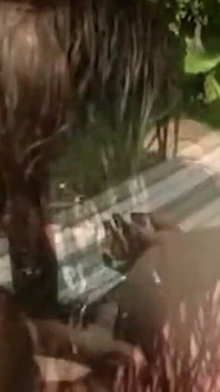 Lesbiene mature țâțoase se răsfățează în joc sălbatic la piscină