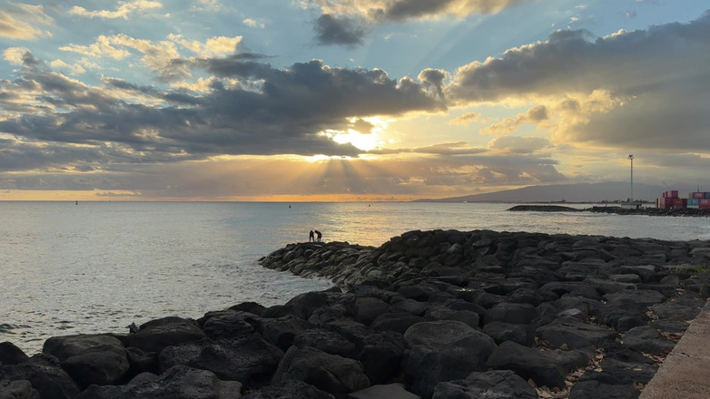 Pastel Allure: Pastel y Rex mamando al atardecer