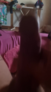 Pennis