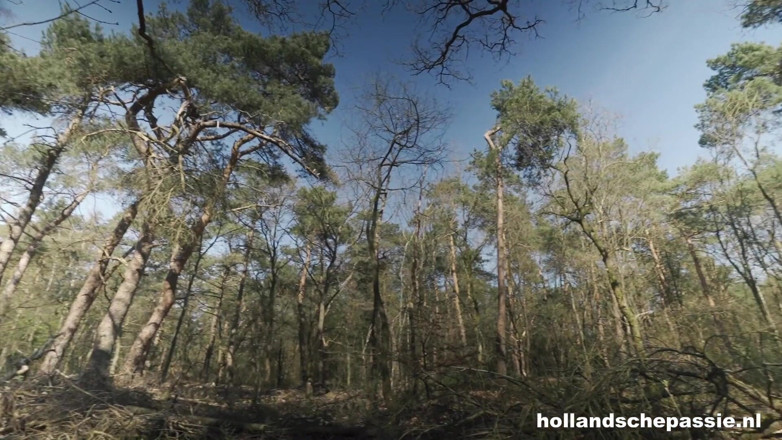 Hollandsche Passie: Кінцевий фанат - hollandschepassie