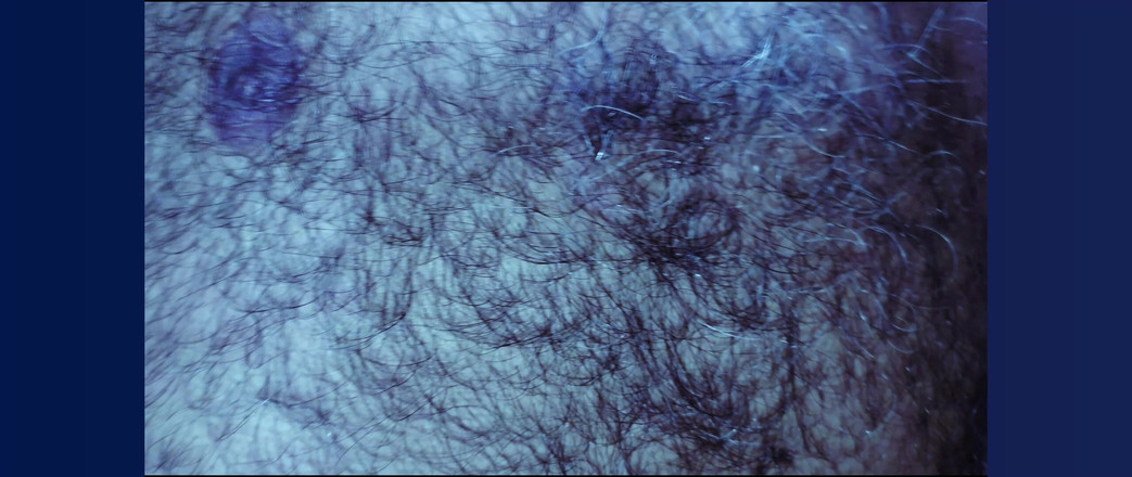 Stink HairyMale: Karın, koltuk altları ve penis