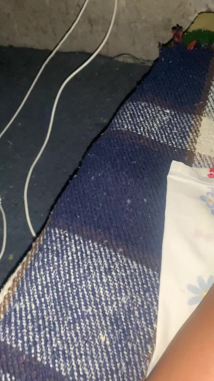 Katy estudio: Meu vizinho me faz ficar muito rico