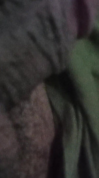Süßer schwarzer schwanz