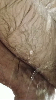 A handsome cock with big, hairy balls is taking a shower and waiting for beautiful, hairy pussies—to stick it inside... sorry, but he really wants to!