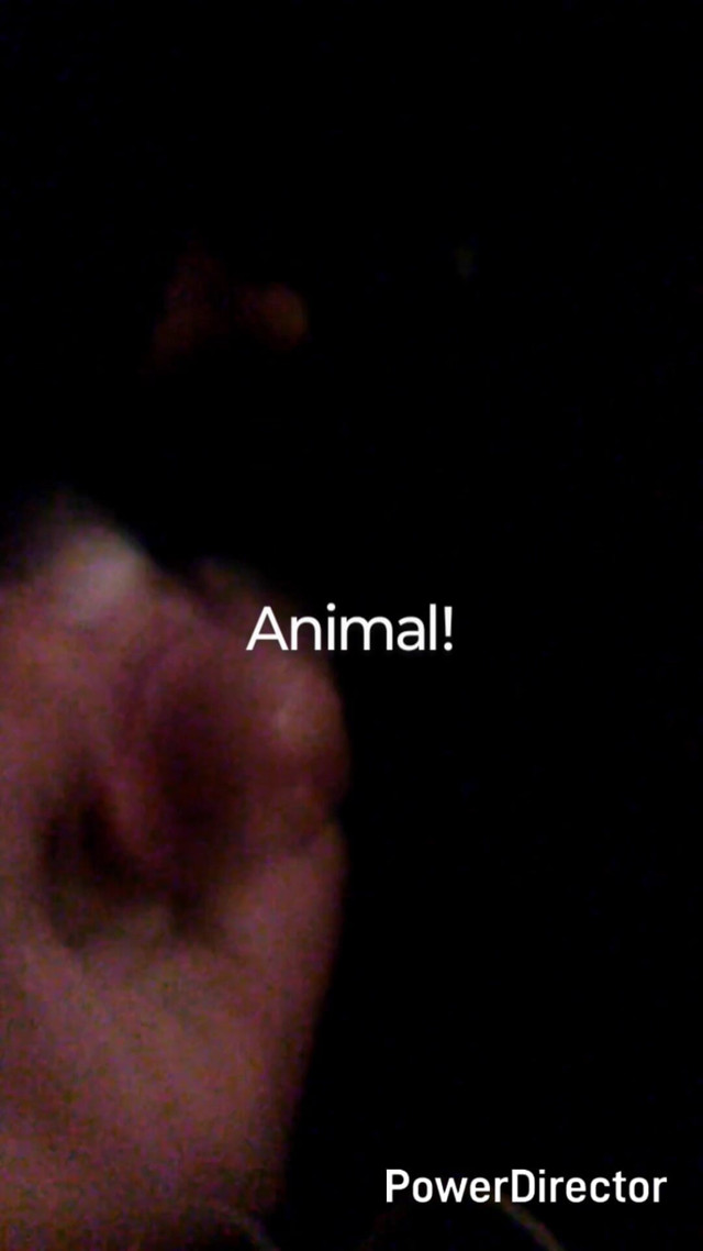 Jizz Cumpilation (Cjrober1369)