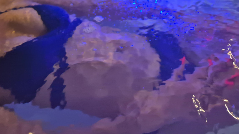chodasse13: Sesiune de jacuzzi