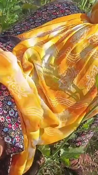 Vesnická desi bhabhi ošukaná v hořčickém poli zezadu. Venkovní sex Desi Bhabhi s Dewarem