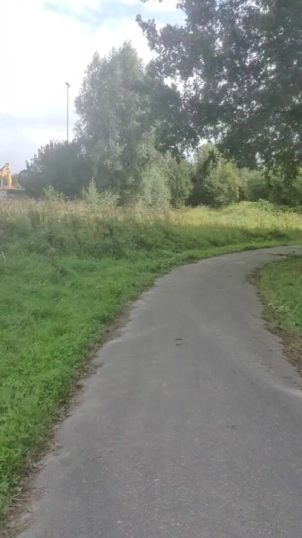 Slutboyben: Il ragazzo in cam4 sexy esibizionista da crociera del guardone