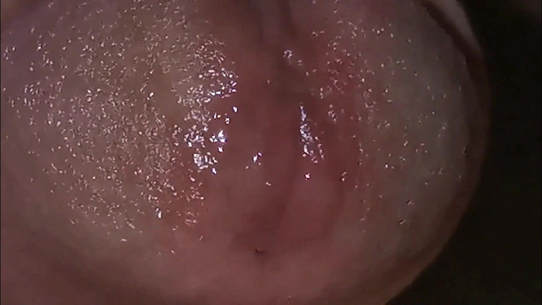 SEXY_GUYBEST: Çok yakın çekim kırmızı kafa ve taze yarak suyu