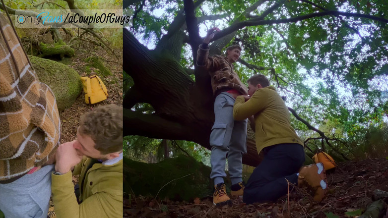 ACoupleOfGuys: Sneaky BJ at the Park