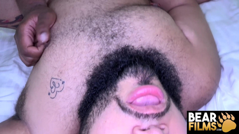 Bear Films: 곰필름 강아지 팬더와 로저 블락 강렬한 맨백