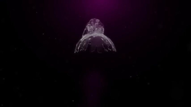 Africankween: Uzun zenci yarağı baddie'nin büyük siyah götünü parçalıyor