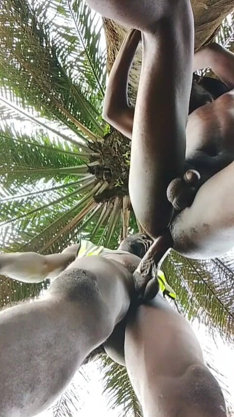 Sexydaddy: Níže pohledy zezadu a bez sedla