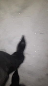 Pointy Boots in Snow