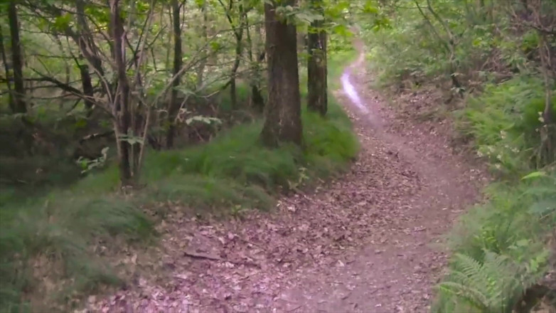 BELLOeBIOTTO: Красивый и длинный камшот, без рубашки, в общественном лесу