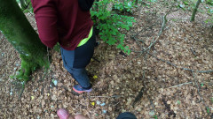 Dazzlingfacegirl: Suck and fuck in forest