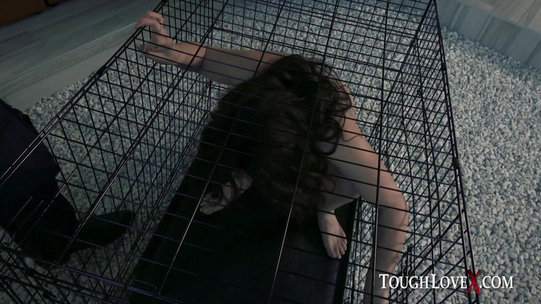 ToughLoveX: Kimber Woods - Toughlove