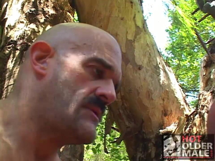 Pantheon men: Sonoma Heat: svalnatý medvěd trojka