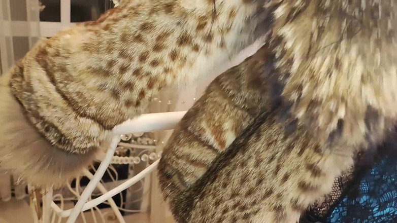 Princess18_: 穿着毛皮的女神，厕所奴隶制