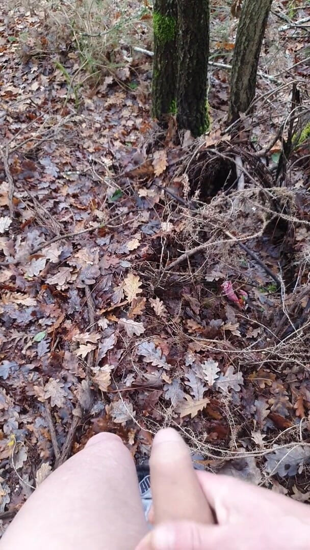 Timmyboy: Timmyboy m-am dus la o alergare în pădure și m-am excitat