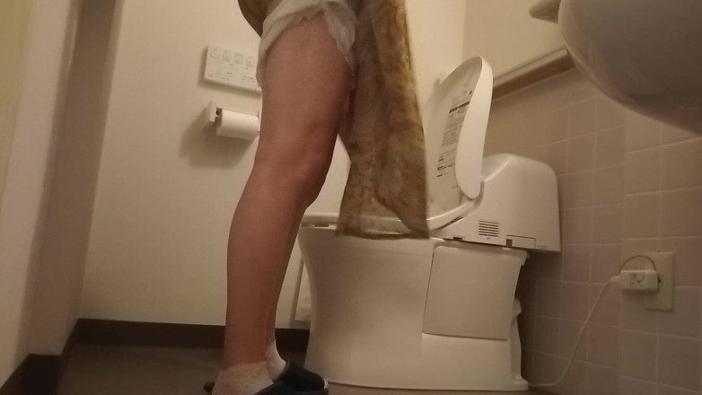 Mayumi Kanzaki: Hoteltoiletten