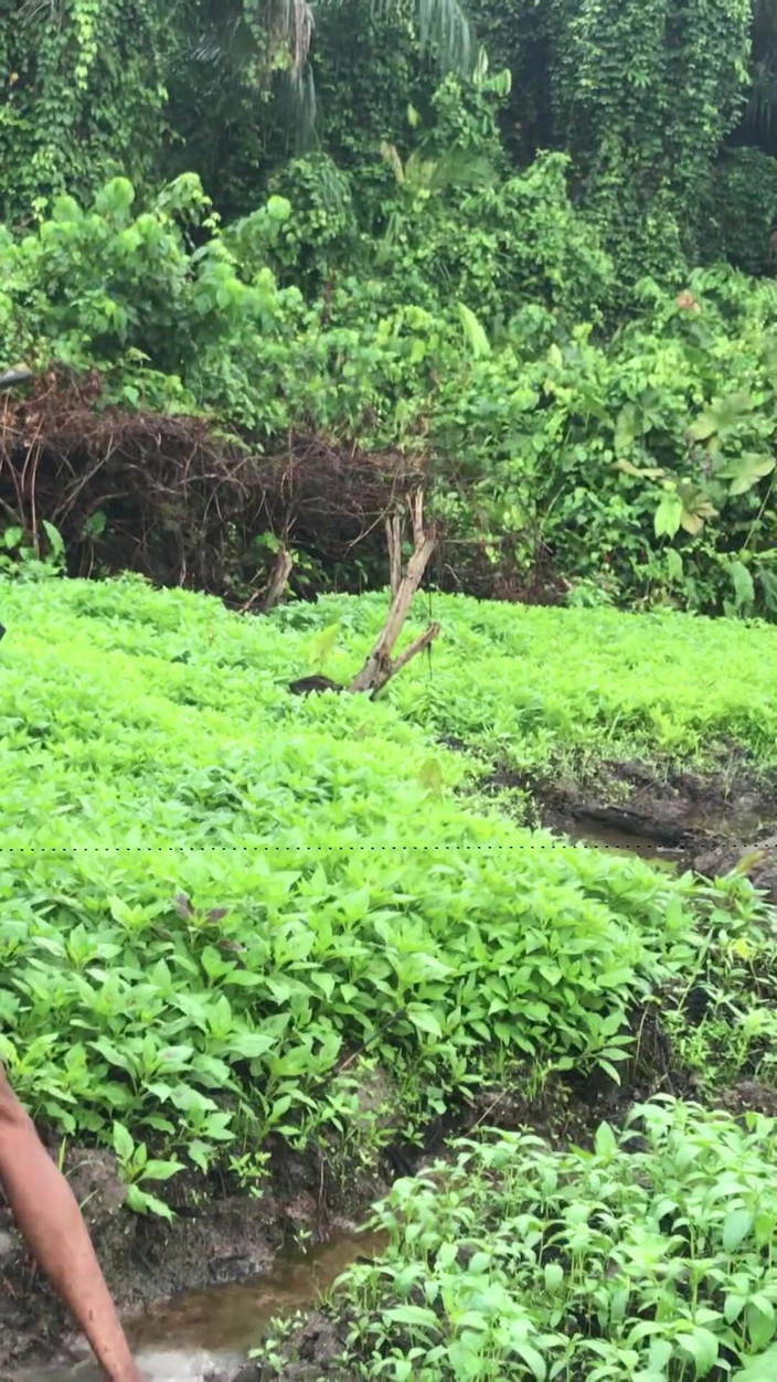 Sexylary: Šukání uvnitř farmy, kulatá moje bažinná voda