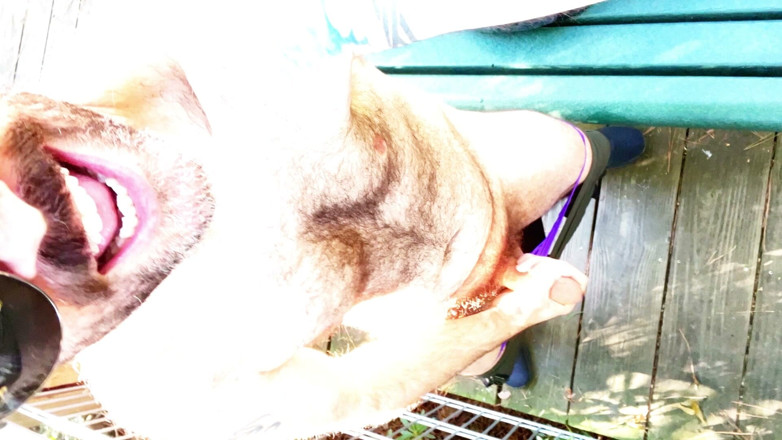 Hairy Wolfe bator: Sai cosa vuole il patrigno? Tempo del pene con i...