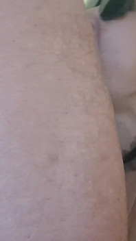 MILF mit Sonnenbrille gibt einen Blowjob und bekommt eine Spritze in den Mund
