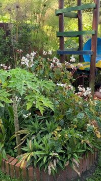 Meu jardineiro da casa me vê me masturbando e fica com tesão, então eu decido agradá-lo me deixando colocar seu pau enorme dentro
