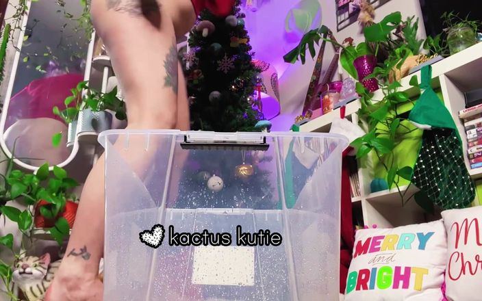 Kactus kutie: Kutie met grote reet plast in kerstdoos