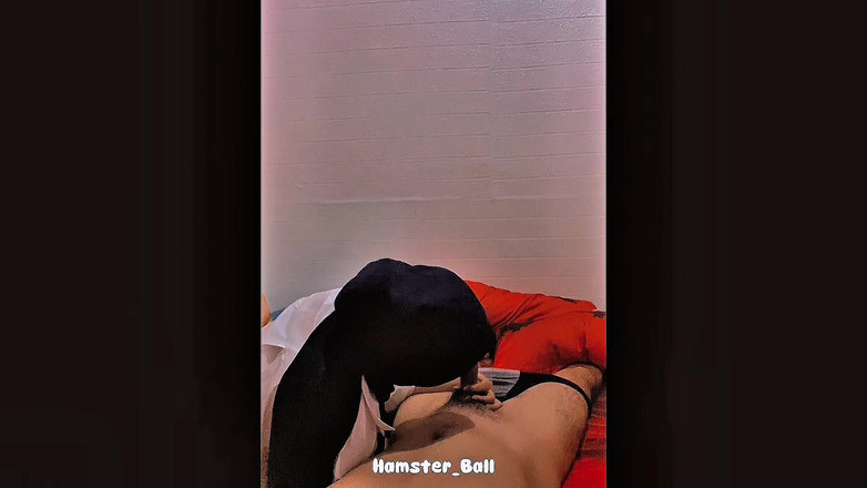 Hamster_Ball: Я признаю, что все малайские хиджабы очень хороши в минете хуя